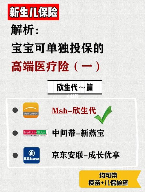 代生孩子合法公司(合法代生孩子公司：孕育新生命的选择)